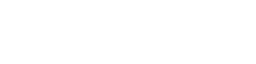Johnson Group Logo - White